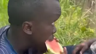 la pastèque 🍉🤣🤣