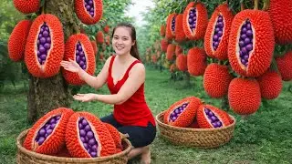 Harvesting Rare Giant Jackfruit &mdash; A Peaceful Farm Day Before Going to Market