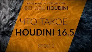 Урок 1 - Houdini 16.5 - Что это такое? - CGScope