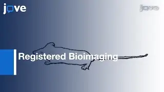 Registered Bioimaging: Nanomaterials For Diagnostic & Therapeutic Monitoring l Protocol Preview