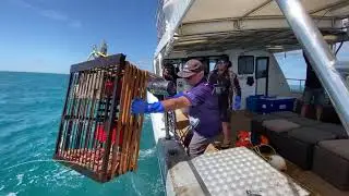 Mandurah Lobster Catching Tour