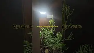 My Solar Motion Sensor Lights Works @ProfDavidJDelosReyes #motionsensorlight #solarenergized
