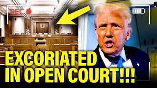 Judge EXCORIATES Trump in OPEN COURT for FED CLAIM
