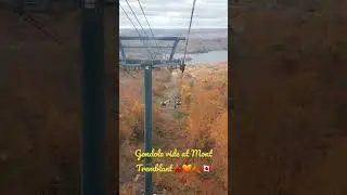 Favorite season 🍂🍁🧡💛🤎#canadianautumn #canadalife #autumnbreeze #ellethewanderer #stunningview