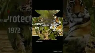 #wild life Protection Act#1972  #wild life