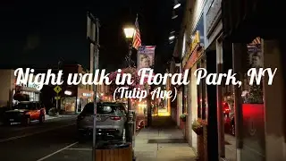 New York 2025 / Night walk in Floral Park, NY. ( Tulip Ave. ) (4k) @placebrowser