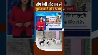 Dog Lovers नोट कर लें सुप्रीम कोर्ट की ये 5 बातें! | Supreme Court&rsquo;s Strong Remarks on Stray Dogs
