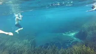 Ichetucknee Springs State Park [Blue Hole Spring] - Fort White, Florida