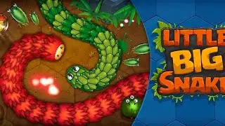 معركة ملحمية بين الأفعى الصغيرة والكبيرة، لحظة مذهلةlittLittle Big Snake 🐍
