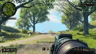 Koshka Headshot