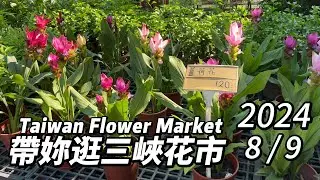 帶妳逛新北三峽花市~週末搶先看!丨2024/8/9丨Taiwan Flower Market 丨
