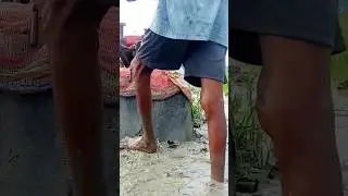 hand tractor stuck in mud😱🔥😲💥 #shorts #shortsvideo #handtractor #powertiller #tractor #tractorstunt