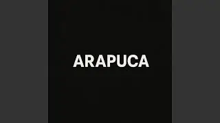 Arapuca