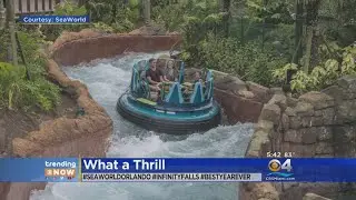 Trending: SeaWorld Selling Annual Passes For $9.99