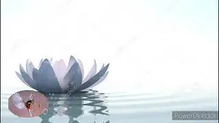 RELAXING MUSIC. TUNEONE MUSIC. РАССЛАБЛЯЮШЕЙ-УСПОКОИВАЮЩИЕ МУЗЫКА