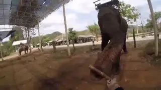 Trekking in Chiang Rai Thailand 2016 Couple Backpacking Adventure Trip Gopro hero 4