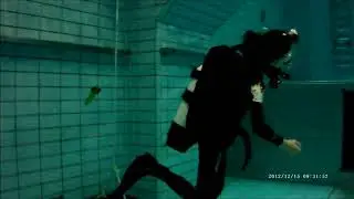 Scuba teasing 2