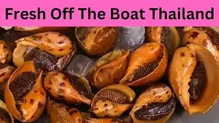 Fresh Off The Boat Thailand - From Giant Sea Snails to Sea Gypsy Homes, we explore Ranong Town Pier