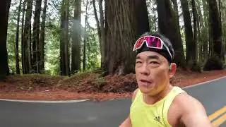 2025 45th Humboldt Redwood Marathon half course