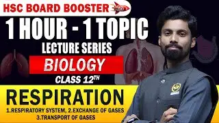 Boost Your HSC Biology Prep | 1 Hour &ndash;1 Topic | Respiration | Class12Board