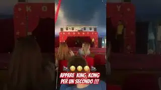 King Kong 😳 Tocca e fuga! #kingkong #circus #circo