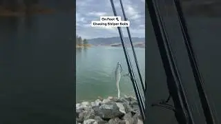 Castaic Lake