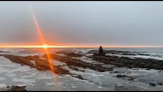 The Stillness Project - I Observe Therefore I Am