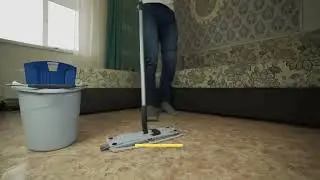 Best Water Damage Restoration and Mold Remediation Services in Detroit