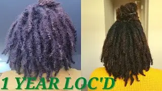 6 to 12 Month Visual Loc Journey | Lots of Pictures and Videos | TwoStrand Twist Starter Loc Journey