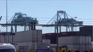 &lsquo;It&rsquo;s transformational&rsquo;: JaxPort to get new terminal operator, will add thousands of jobs
