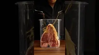 I soaked a Porterhouse Steak in Coca-Cola for 2 days