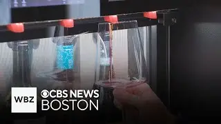 New Hampshire proposes expanding self-serve alcohol option at bars and breweries