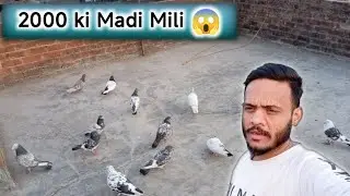 Apni he Madi Kisi say 2000 ki wapis Mili hai ab ap ny batana hai k hum kya kry 😱😭
