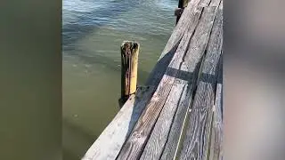 VRBO Review of Tranquil Bay by Beach Box 2341 Avenue A. San Leon, Tx 77539