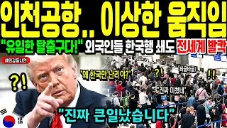 [해외감동사연] 인천공항 입국대란 이상한 일이 벌어졌습니다. 인천공항 440% 폭증.. 유럽 중산층이 커리어 포기하고 한국 온 이유는?