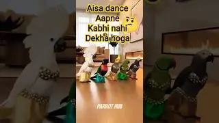 PARROT HUB REAL DANCE #best #blog #video