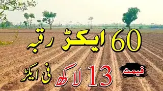 60 Acre Agriculture Land for Sale | Land for sale in Punjab Pakistan | Low budget | Ep 139