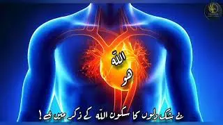 Zikr Allah | Powerful Zikr Of Allah | Dr Hamed Shaafi | TALAASH