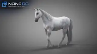 3D Horse Walk
