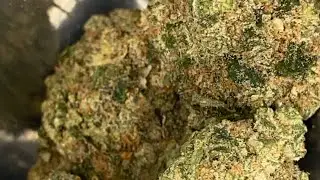 IM BACK // MINI DISPENSARY HAUL