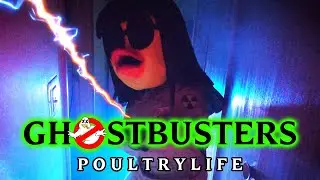 GHOSTBUSTERS: POULTRYLIFE Rockin' Robin Music Video