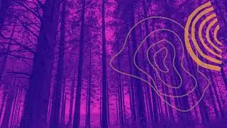 Peaceful Connections: Exploring Creativity and Well-being through Biosphere Engagement