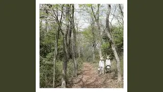 Trip Song