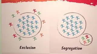 ICS Museum Exhibit Short - Choosing Inclusion