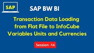 Transaction Data Loading from Flat File to InfoCube Variables Units and Currencies and Date