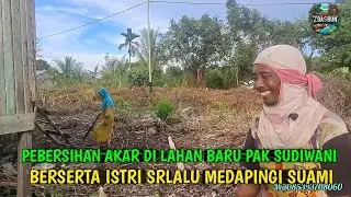 TERNYATA BEGINI LAHAN PAK SUDIWANI DI BERSIHKAN AKAR DI DEPAN RUMAH