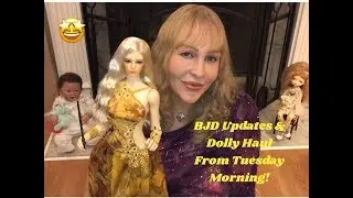 BJD Updates And Doll Haul From Tuesday Morning!