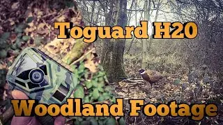 TOGUARD H20 Trail Camera, Woodland Animals