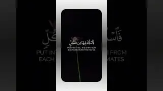 This Quran recitation will change your day #islam #islamic_video #ytshorts #trending #sabr #allah