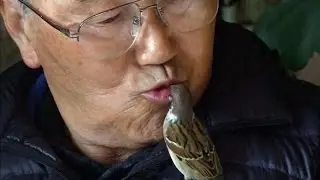 Dieser Spatz geh&ouml;rt jetzt zur Familie